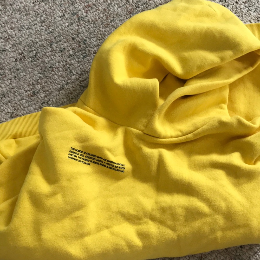 Pangaia kids hoodie size 12- never worn
